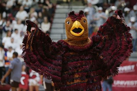 More than a mascot, the St. Joseph’s University Hawk flaps on