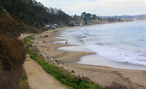 New Brighton State Beach in Capitola, CA - California Beaches