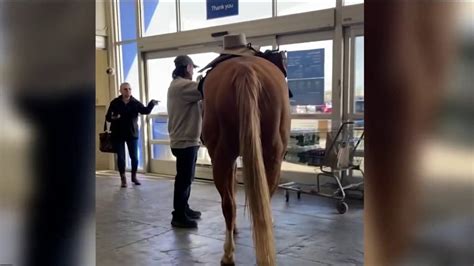 Man Rides Horse Inside Mass. Walmart – NBC Boston