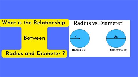 Relationship Between Radius and Diameter - YouTube