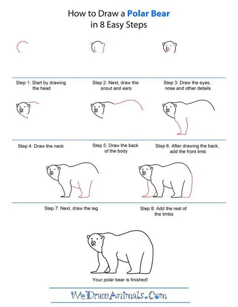 How to draw a Polar Bear