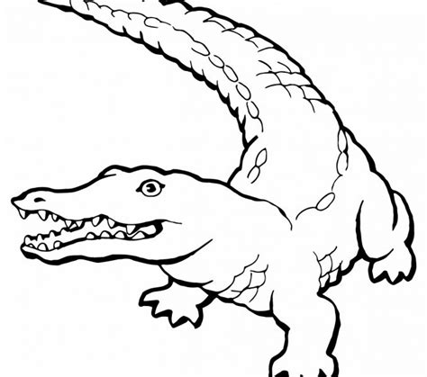 Baby Alligator Coloring Pages at GetDrawings | Free download