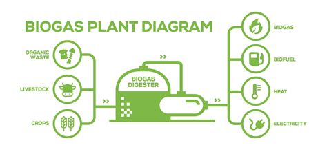 Simple Biogas Plant Diagram. Biogas Production Phases. Illustrated ...