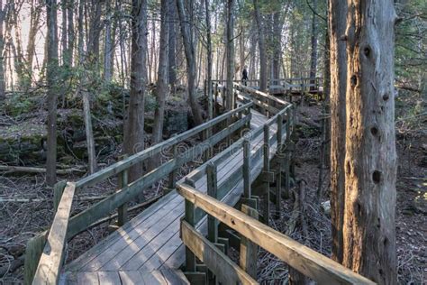 Crawford Lake Boardwalk, Ontario, Canada Stock Image - Image of shadows ...