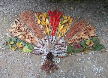 Full Day Environmental Art Workshops with Tim Pugh - Ruthin Craft Centre