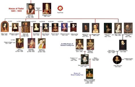 Tudor family tree | Scottish house, Family tree, House of stuart