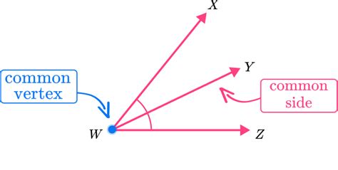 Adjacent Angles - Definition, Examples & Practice Questions