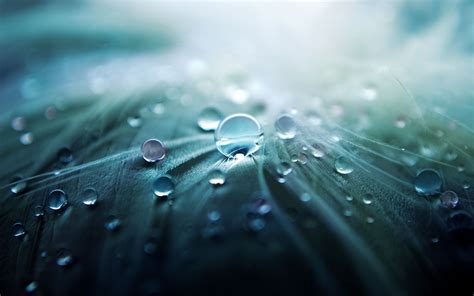 #986175 4K, reflection, water drops, macro - Rare Gallery HD Wallpapers