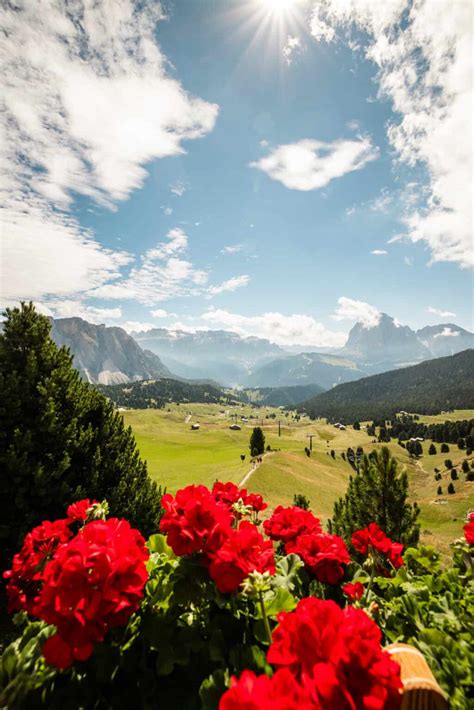 Seceda Dolomites: A Complete Guide to Visiting in 2024