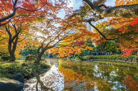 Autumn Foliage in Japan – Spots in the City and Perfect Day Trips ...