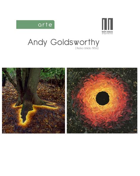 Andy Goldsworthy