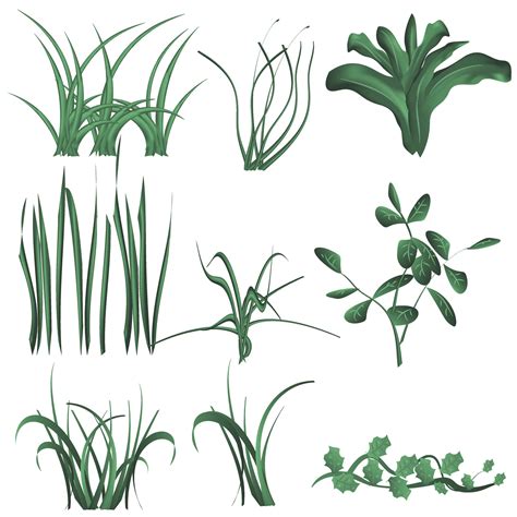 Grass and Bush Set 35597716 Vector Art at Vecteezy