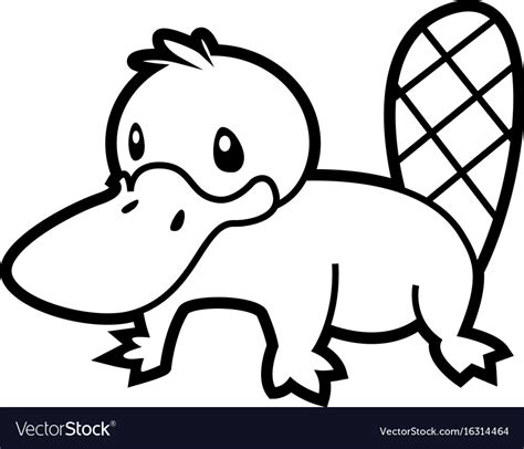 Platypus line Royalty Free Vector Image - VectorStock