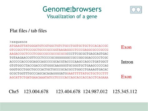 Visualization of genomic data - ppt download