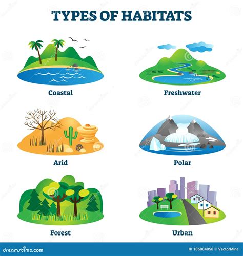 Animals And Their Habitats Chart