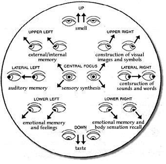 Eye gazing - meaning. | Psychology, Reading body language, Psychology facts