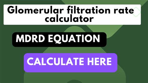 How to calculate gfr calculator mdrd equation?