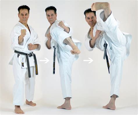 Mawashi geri | Shotokan karate, Karate, Martial arts