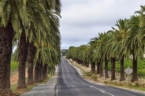 11 Must-Do Activities In The Barossa Valley | QuartzMountain