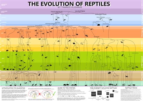 The Evolution of Reptiles in 2021 | Evolution, Reptiles, Paleontology