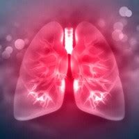 What’s new about pulmonary hyperinflation in mechanically ventilated ...