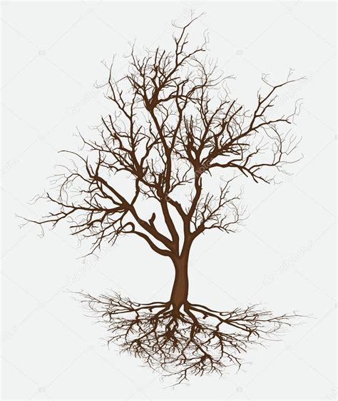 Dead Tree Branches Vector — Stock Vector © baavli #64422643