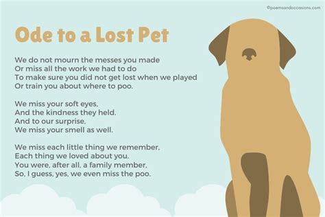 15+ Pet Memorial Poems | Pet poems, Pet loss poem, Dog poems