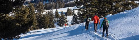 Lost Lake Ski Trail (U.S. National Park Service)