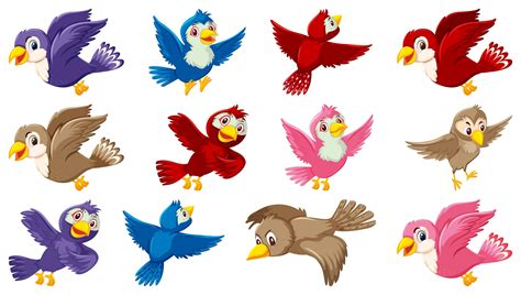 Set of bird cartoon character 1436698 Vector Art at Vecteezy