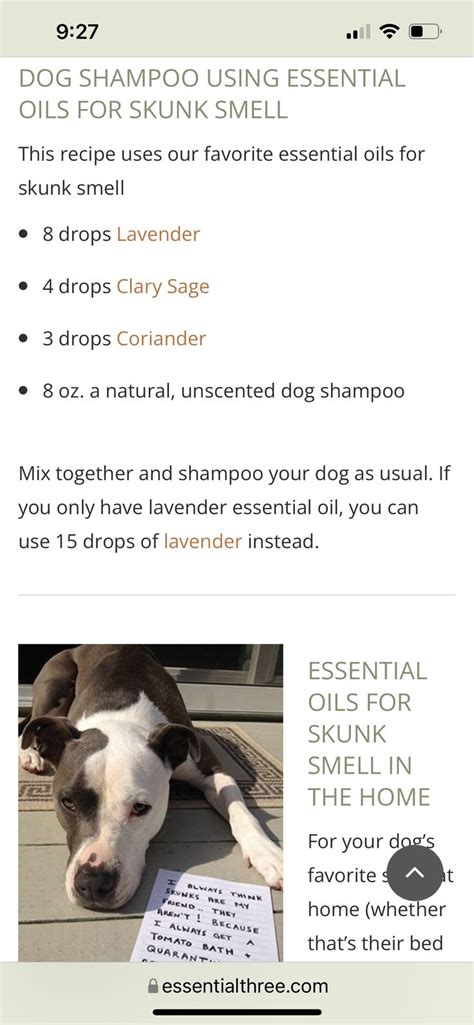 Pin by Peggy GAsparich on Dogs | Dog shampoo, Essential oil recipes ...