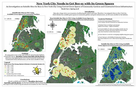 Class projects from GIS: Spatial Analysis | Geospatial Mapping at Vassar