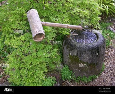 Bamboo water feature in a Japanese garden Stock Photo - Alamy