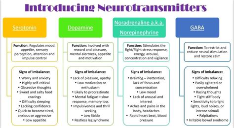 Introducing Neurotransmitters - Psychoeducation Function of serotonin ...