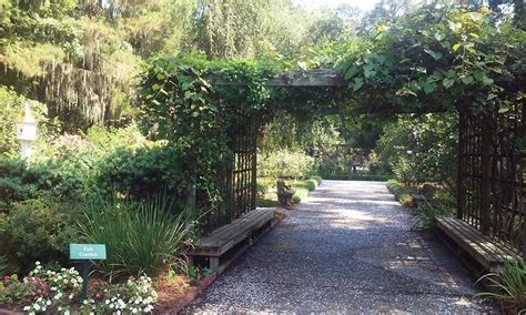 Botanical Garden (Savannah, GA): Top Tips Before You Go - TripAdvisor ...