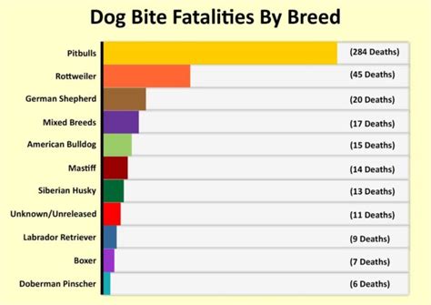 What Percentage Of Dog Bites Are From Pitbulls