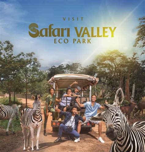 Wildlife & Animals – Safari Valley Resort