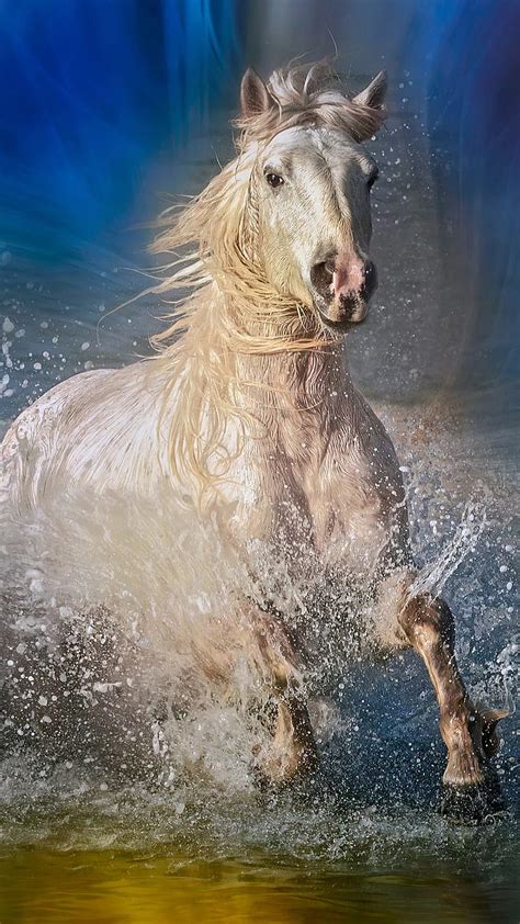 Running Horse Wallpaper Hd