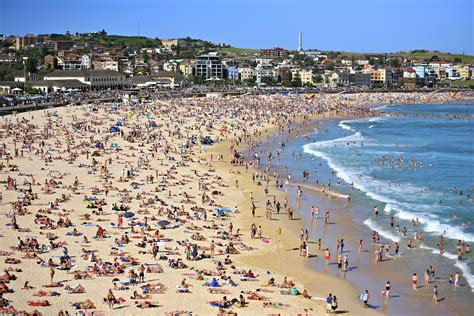 Bondi Beach : le surf bientôt partiellement interdit ? - Surf Session