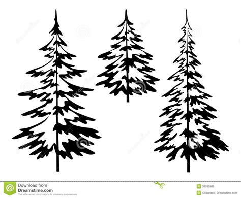 illustrations of fir trees - Google Search | Pine tree drawing, Pine ...