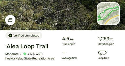 Aiea Loop Trail - Yes to Hawaii