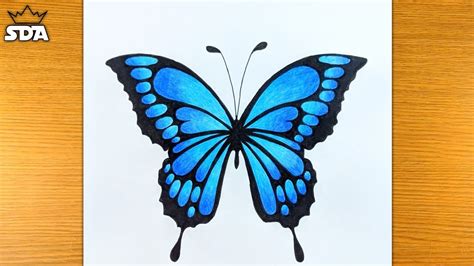 Blue Butterfly Drawing