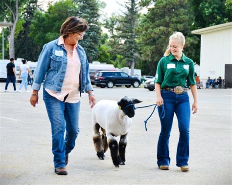 North Dakota leaders experience 4-H livestock showmanship