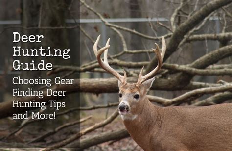 Deer Hunting: Guide for New and Experienced Hunters - Bushcraft Base Camp