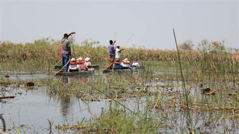 Traditional Mokoro/Canoe Trip | Excursion