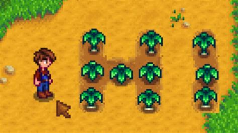 Stardew Valley Foraging Guide: Where and What to Collect - Level Push