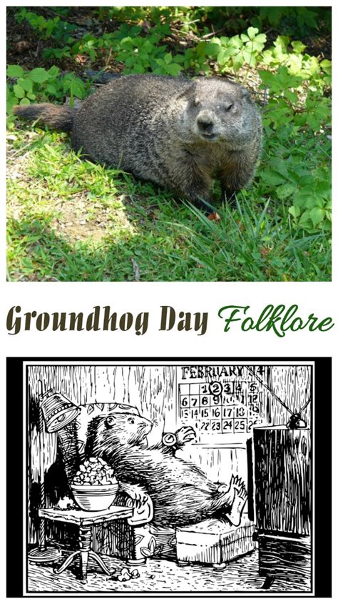 Groundhog Day - February 2 - Folklore - Always the Holidays