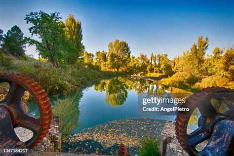 2,010 Riparian Zone Stock Photos, High-Res Pictures, and Images - Getty ...