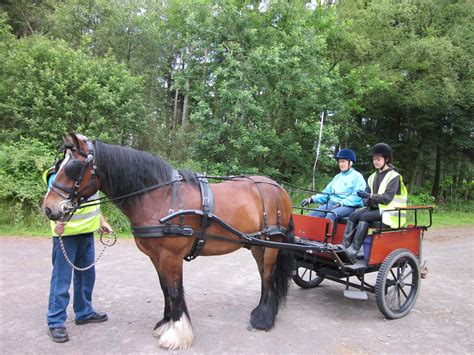 Carriage Driving – July 14 | The Brae Riding for the Disabled