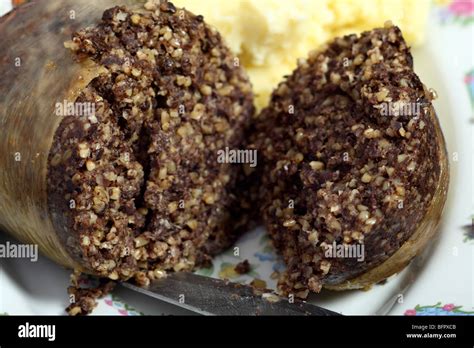 View of a cooked scottish haggis that has been sliced open Stock Photo ...