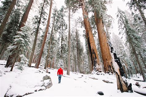 Visiting Kings Canyon & Sequoia National Parks in the Winter — Beyond ...